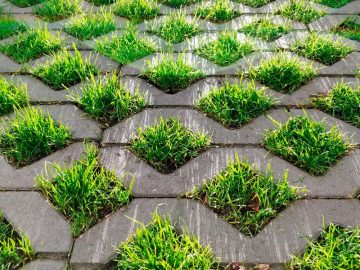 Pisos intertravados-grama